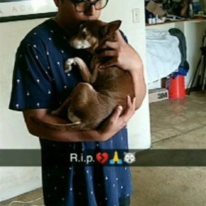 Meet your Posher, Alejandro